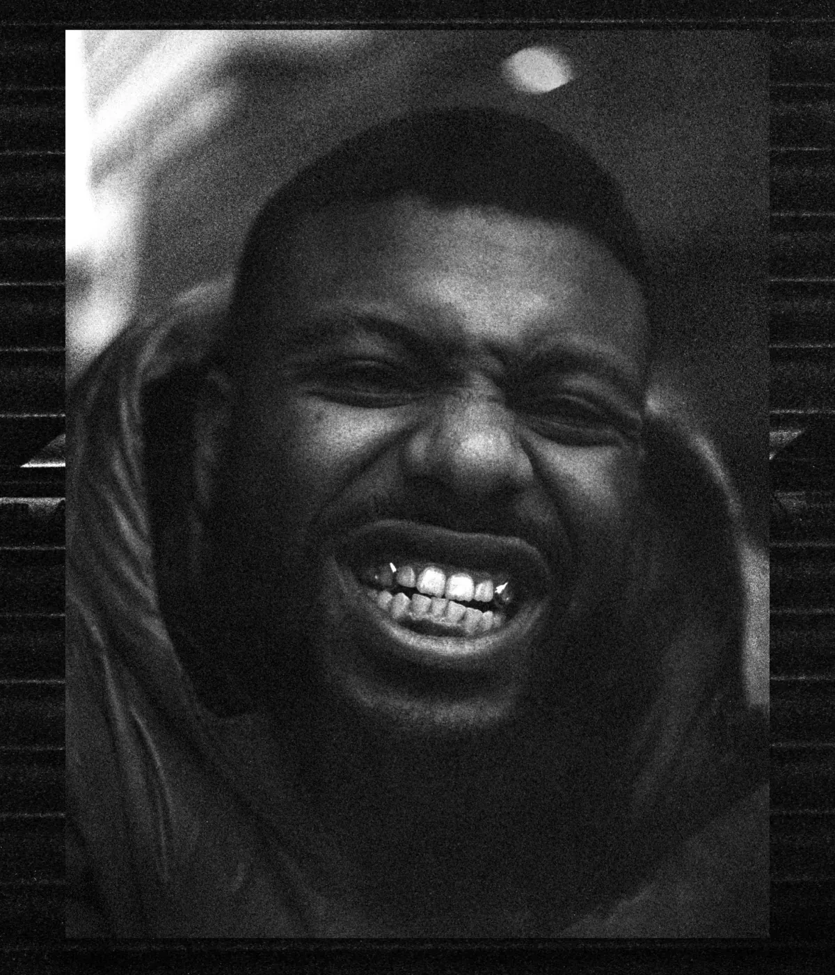 Grainy portrait of Snowy